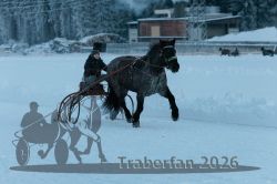 Dateiname=20260118_r05_048_R05_0125.jpg
Dateigröße=221KB
Abmessungen: 1000x667
hinzugefügt am: 19. Januar 2026 20260118_r05_048_R05_0125.jpg