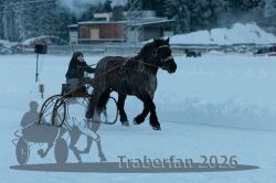 Dateiname=20260118_r05_050_R05_0128.jpg
Dateigröße=222KB
Abmessungen: 1000x667
hinzugefügt am: 19. Januar 2026 20260118_r05_050_R05_0128.jpg