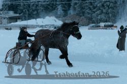 Dateiname=20260118_r05_052_R05_0134.jpg
Dateigröße=246KB
Abmessungen: 1000x667
hinzugefügt am: 19. Januar 2026 20260118_r05_052_R05_0134.jpg