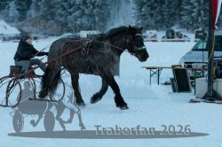 Dateiname=20260118_r05_055_R05_0139.jpg
Dateigröße=272KB
Abmessungen: 1000x667
hinzugefügt am: 19. Januar 2026 20260118_r05_055_R05_0139.jpg