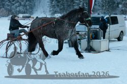 Dateiname=20260118_r05_057_R05_0142.jpg
Dateigröße=286KB
Abmessungen: 1000x667
hinzugefügt am: 19. Januar 2026 20260118_r05_057_R05_0142.jpg