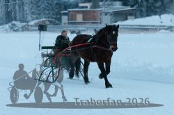 Dateiname=20260118_r05_059_R05_0148.jpg
Dateigröße=219KB
Abmessungen: 1000x667
hinzugefügt am: 19. Januar 2026 20260118_r05_059_R05_0148.jpg