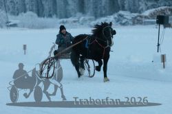 Dateiname=20260118_r05_060_R05_0150.jpg
Dateigröße=196KB
Abmessungen: 1000x667
hinzugefügt am: 19. Januar 2026 20260118_r05_060_R05_0150.jpg