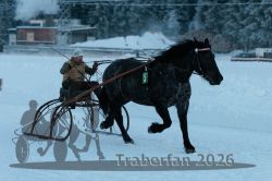 Dateiname=20260118_r05_063_R05_0159.jpg
Dateigröße=241KB
Abmessungen: 1000x667
hinzugefügt am: 19. Januar 2026 20260118_r05_063_R05_0159.jpg