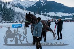 Dateiname=20260118_r05_066_CR5_0177.jpg
Dateigröße=318KB
Abmessungen: 1000x667
hinzugefügt am: 19. Januar 2026 20260118_r05_066_CR5_0177.jpg