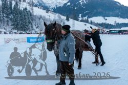 Dateiname=20260118_r05_067_CR5_0180.jpg
Dateigröße=324KB
Abmessungen: 1000x667
hinzugefügt am: 19. Januar 2026 20260118_r05_067_CR5_0180.jpg