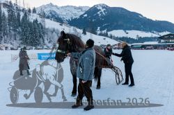 Dateiname=20260118_r05_068_CR5_0183.jpg
Dateigröße=312KB
Abmessungen: 1000x667
hinzugefügt am: 19. Januar 2026 20260118_r05_068_CR5_0183.jpg