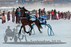 Dateiname=20260118_r06_034_R06_0076.jpg
Dateigröße=264KB
Abmessungen: 1000x667
hinzugefügt am: 19. Januar 2026 20260118_r06_034_R06_0076.jpg