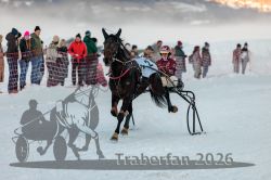 Dateiname=20260118_r06_042_R06_0095.jpg
Dateigröße=233KB
Abmessungen: 1000x667
hinzugefügt am: 19. Januar 2026 20260118_r06_042_R06_0095.jpg