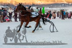 Dateiname=20260118_r06_049_R06_0115.jpg
Dateigröße=297KB
Abmessungen: 1000x667
hinzugefügt am: 19. Januar 2026 20260118_r06_049_R06_0115.jpg