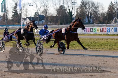 20260319_qu3_009_QU3_0027.jpg