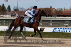 20260405_r01_016_R01_0060.jpg