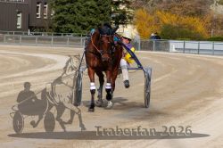 Dateiname=20260405_r07_131_R07_0393.jpg
Dateigröße=358KB
Abmessungen: 1000x667
hinzugefügt am: 06. April 2026 20260405_r07_131_R07_0393.jpg