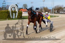 Dateiname=20260405_r07_136_R07_0413.jpg
Dateigröße=372KB
Abmessungen: 1000x667
hinzugefügt am: 06. April 2026 20260405_r07_136_R07_0413.jpg