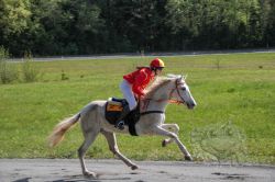 20260503_ja_186_IMG_0062.jpg