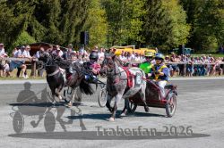 20260503_r03_038_R03_0073.jpg