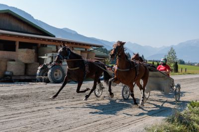 ER5_0227.jpg