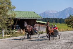 Dateiname=ER5_0097.jpg
Dateigröße=710KB
Abmessungen: 1000x667
hinzugefügt am: 04. August 2026 ER5_0097.jpg