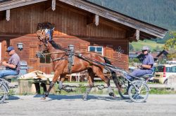 Dateiname=ER5_0129.jpg
Dateigröße=716KB
Abmessungen: 1000x667
hinzugefügt am: 04. August 2026 ER5_0129.jpg
