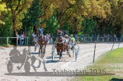 Dateiname=20260815_r01_030_R01_0112.jpg
Dateigröße=553KB
Abmessungen: 1000x667
hinzugefügt am: 16. August 2026 20260815_r01_030_R01_0112.jpg