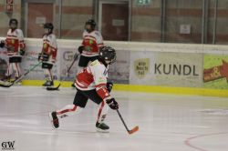 Dateiname=20220218_02_EHC_Kitz_037_EHC_0059.jpg
Dateigröße=110KB
Abmessungen: 1000x667
hinzugefügt am: 23. Februar 2022 20220218_02_EHC_Kitz_037_EHC_0059.jpg