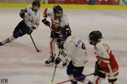 Dateiname=20220218_02_EHC_Kitz_542_EHC_0718.jpg
Dateigröße=119KB
Abmessungen: 1000x667
hinzugefügt am: 23. Februar 2022 20220218_02_EHC_Kitz_542_EHC_0718.jpg