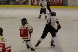 Dateiname=20220218_02_EHC_Kitz_558_EHC_0736.jpg
Dateigröße=101KB
Abmessungen: 1000x667
hinzugefügt am: 23. Februar 2022 20220218_02_EHC_Kitz_558_EHC_0736.jpg