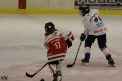 Dateiname=20220218_02_EHC_Kitz_564_EHC_0744.jpg
Dateigröße=103KB
Abmessungen: 1000x667
hinzugefügt am: 23. Februar 2022 20220218_02_EHC_Kitz_564_EHC_0744.jpg