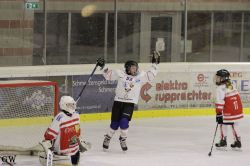 Dateiname=20220218_02_EHC_Kitz_584_EHC_0767.jpg
Dateigröße=149KB
Abmessungen: 1000x667
hinzugefügt am: 23. Februar 2022 20220218_02_EHC_Kitz_584_EHC_0767.jpg