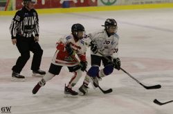 Dateiname=20220218_02_EHC_Kitz_591_EHC_0776.jpg
Dateigröße=125KB
Abmessungen: 1000x667
hinzugefügt am: 23. Februar 2022 20220218_02_EHC_Kitz_591_EHC_0776.jpg