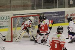 Dateiname=20220218_02_EHC_Kitz_616_EHC_0808.jpg
Dateigröße=161KB
Abmessungen: 1000x667
hinzugefügt am: 23. Februar 2022 20220218_02_EHC_Kitz_616_EHC_0808.jpg