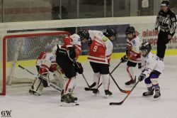 Dateiname=20220218_02_EHC_Kitz_621_EHC_0814.jpg
Dateigröße=165KB
Abmessungen: 1000x667
hinzugefügt am: 23. Februar 2022 20220218_02_EHC_Kitz_621_EHC_0814.jpg