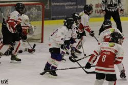 Dateiname=20220218_02_EHC_Kitz_627_EHC_0821.jpg
Dateigröße=156KB
Abmessungen: 1000x667
hinzugefügt am: 23. Februar 2022 20220218_02_EHC_Kitz_627_EHC_0821.jpg