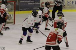 Dateiname=20220218_02_EHC_Kitz_629_EHC_0823.jpg
Dateigröße=127KB
Abmessungen: 1000x667
hinzugefügt am: 23. Februar 2022 20220218_02_EHC_Kitz_629_EHC_0823.jpg