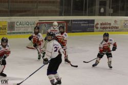 20220218_02_EHC_Kitz_654_EHC_0855.jpg