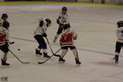 Dateiname=20220218_02_EHC_Kitz_658_EHC_0860.jpg
Dateigröße=101KB
Abmessungen: 1000x667
hinzugefügt am: 23. Februar 2022 20220218_02_EHC_Kitz_658_EHC_0860.jpg