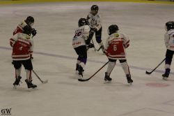 Dateiname=20220218_02_EHC_Kitz_659_EHC_0862.jpg
Dateigröße=102KB
Abmessungen: 1000x667
hinzugefügt am: 23. Februar 2022 20220218_02_EHC_Kitz_659_EHC_0862.jpg