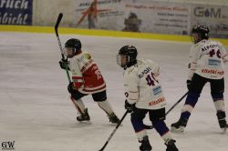 Dateiname=20220218_02_EHC_Kitz_662_EHC_0866.jpg
Dateigröße=121KB
Abmessungen: 1000x667
hinzugefügt am: 23. Februar 2022 20220218_02_EHC_Kitz_662_EHC_0866.jpg