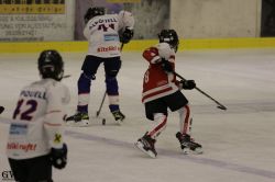 Dateiname=20220218_02_EHC_Kitz_681_EHC_0890.jpg
Dateigröße=104KB
Abmessungen: 1000x667
hinzugefügt am: 23. Februar 2022 20220218_02_EHC_Kitz_681_EHC_0890.jpg