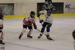Dateiname=20220218_02_EHC_Kitz_728_EHC_0944.jpg
Dateigröße=109KB
Abmessungen: 1000x667
hinzugefügt am: 23. Februar 2022 20220218_02_EHC_Kitz_728_EHC_0944.jpg