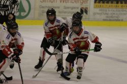 Dateiname=20220218_02_EHC_Kitz_737_EHC_0956.jpg
Dateigröße=130KB
Abmessungen: 1000x667
hinzugefügt am: 23. Februar 2022 20220218_02_EHC_Kitz_737_EHC_0956.jpg