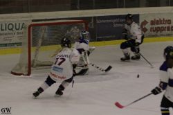 Dateiname=20220218_04_Kitz_KU_169_EHC_0231.jpg
Dateigröße=106KB
Abmessungen: 1000x667
hinzugefügt am: 24. Februar 2022 20220218_04_Kitz_KU_169_EHC_0231.jpg