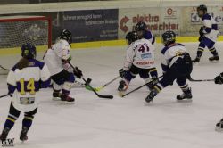 Dateiname=20220218_04_Kitz_KU_170_EHC_0232.jpg
Dateigröße=136KB
Abmessungen: 1000x667
hinzugefügt am: 24. Februar 2022 20220218_04_Kitz_KU_170_EHC_0232.jpg