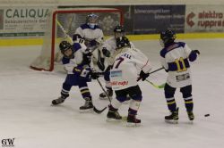 Dateiname=20220218_04_Kitz_KU_177_EHC_0241.jpg
Dateigröße=119KB
Abmessungen: 1000x667
hinzugefügt am: 24. Februar 2022 20220218_04_Kitz_KU_177_EHC_0241.jpg