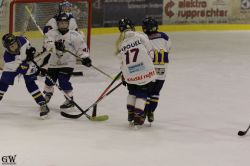 Dateiname=20220218_04_Kitz_KU_179_EHC_0243.jpg
Dateigröße=117KB
Abmessungen: 1000x667
hinzugefügt am: 24. Februar 2022 20220218_04_Kitz_KU_179_EHC_0243.jpg