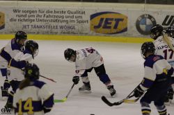 Dateiname=20220218_04_Kitz_KU_180_EHC_0246.jpg
Dateigröße=133KB
Abmessungen: 1000x667
hinzugefügt am: 24. Februar 2022 20220218_04_Kitz_KU_180_EHC_0246.jpg
