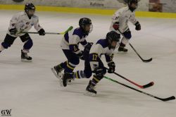 Dateiname=20220218_04_Kitz_KU_184_EHC_0250.jpg
Dateigröße=106KB
Abmessungen: 1000x667
hinzugefügt am: 24. Februar 2022 20220218_04_Kitz_KU_184_EHC_0250.jpg