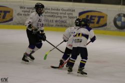 Dateiname=20220218_04_Kitz_KU_189_EHC_0257.jpg
Dateigröße=96KB
Abmessungen: 1000x667
hinzugefügt am: 24. Februar 2022 20220218_04_Kitz_KU_189_EHC_0257.jpg