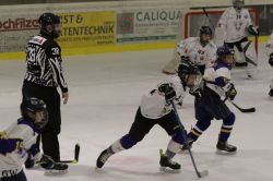 Dateiname=20220218_04_Kitz_KU_409_EHC_0514.jpg
Dateigröße=128KB
Abmessungen: 1000x667
hinzugefügt am: 24. Februar 2022 20220218_04_Kitz_KU_409_EHC_0514.jpg