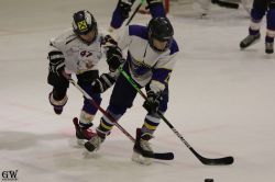 Dateiname=20220218_04_Kitz_KU_426_EHC_0533.jpg
Dateigröße=108KB
Abmessungen: 1000x667
hinzugefügt am: 24. Februar 2022 20220218_04_Kitz_KU_426_EHC_0533.jpg